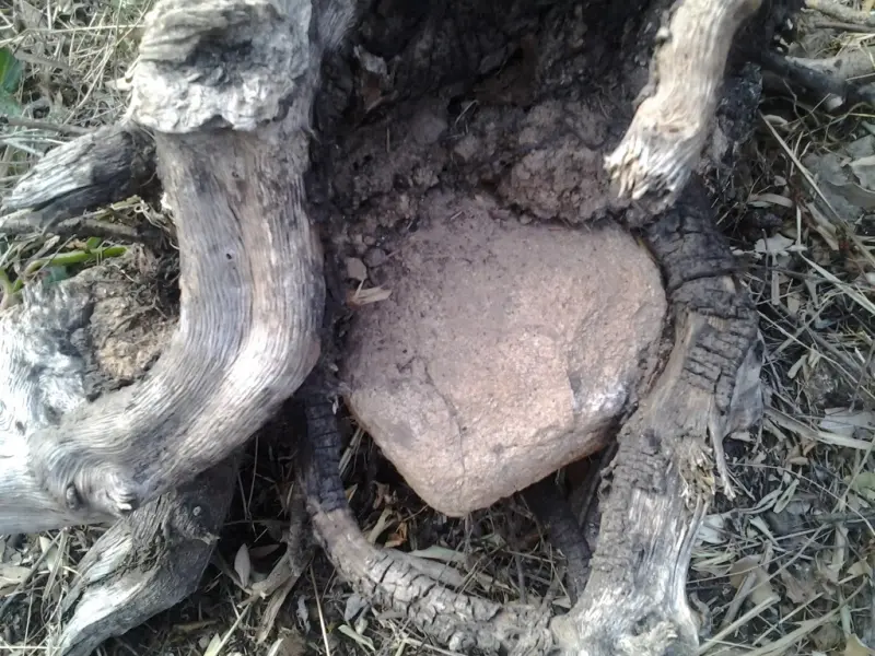 Sufi Earth Spirit e.V. 5