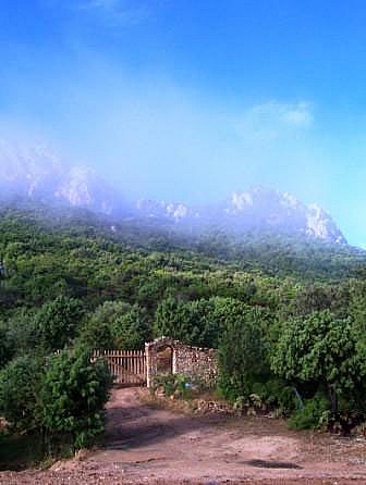 Tor_und_Berge_im_Nebel_klein_scharf Entrance gate, mediterranean scrub and granite rocks - Cala Jami Inayati Sufi center