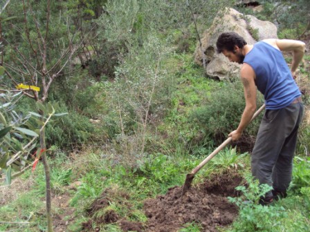 Organic gardening at Cala Jami