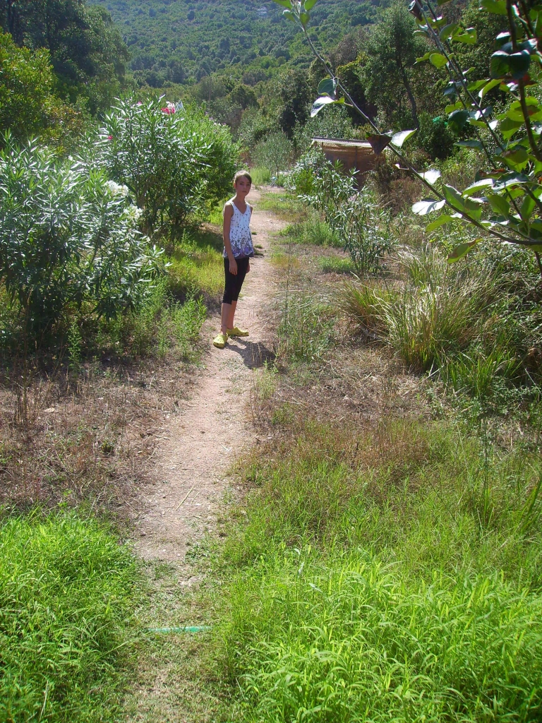 Valley of Cala Jami