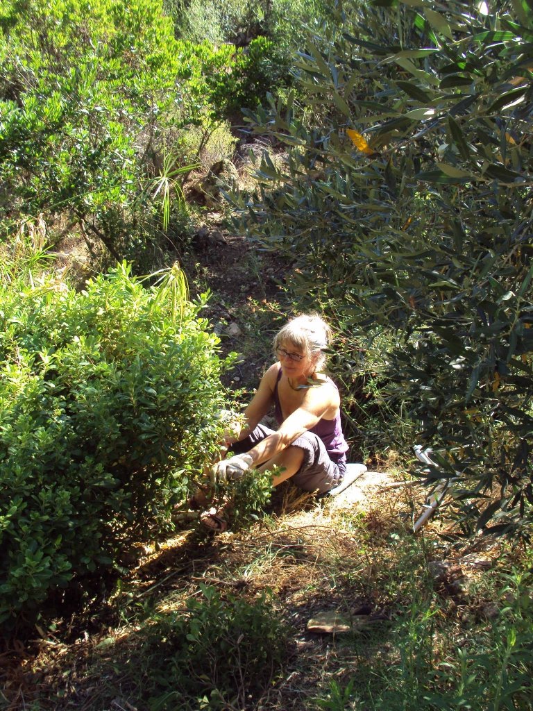 Karin im Garten2 768x1024 1