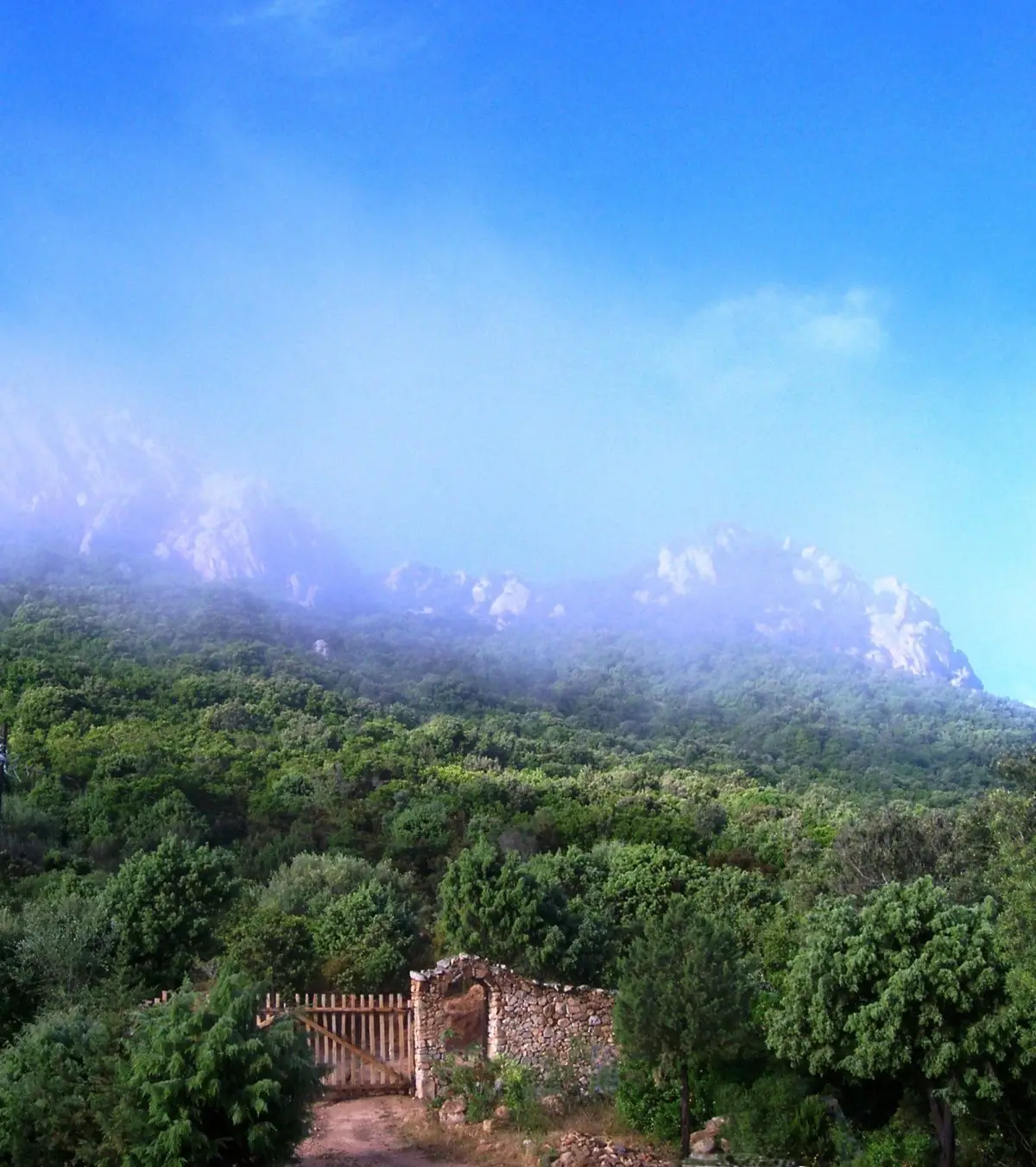 Tor_und_Berge_im_Nebel_-1200×1353 Entrance gate, mediterranean scrub and granite rocks - Cala Jami Inayati Sufi center