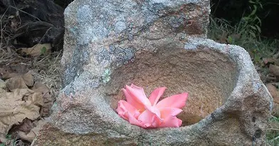 Yin Empfänglichkeit Yin energy