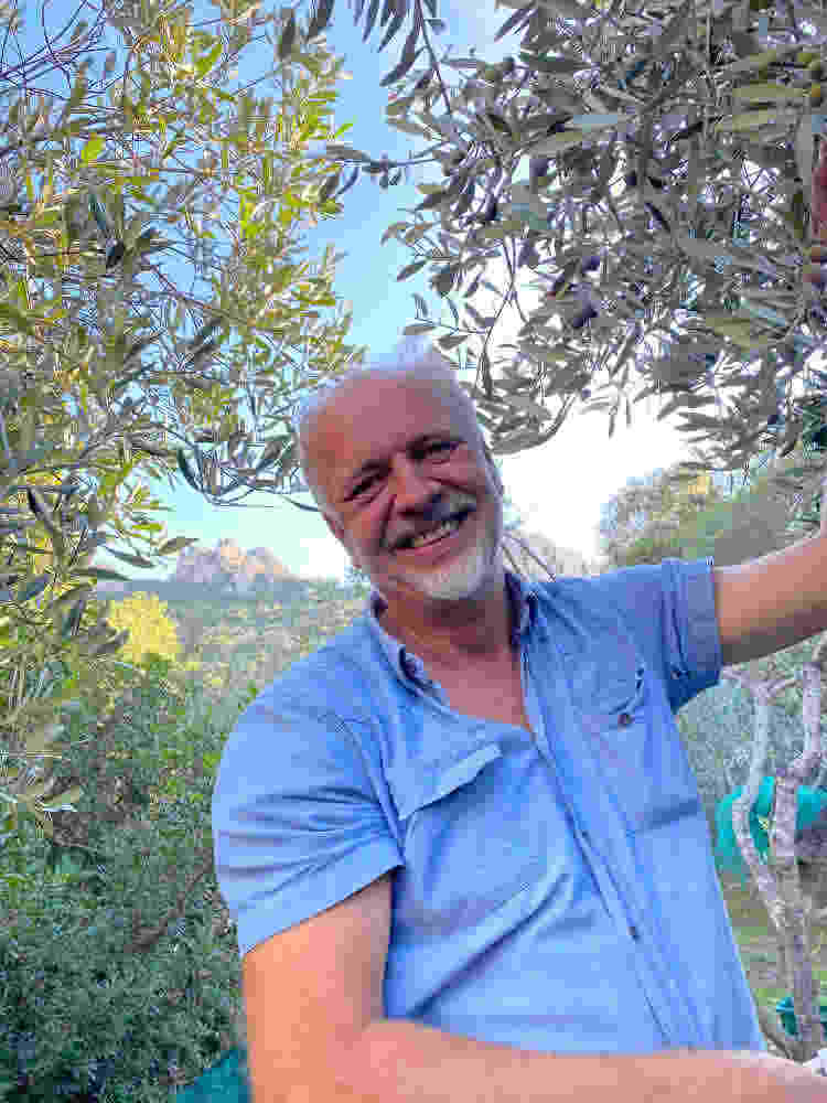 cheerful olive harvest Sufi Earth Spirit Cala Jami