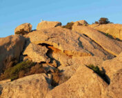 News 23 2022 - golden opportunities