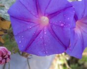 News 20 Cala Jami Sufi Eart Spirit Sardinia