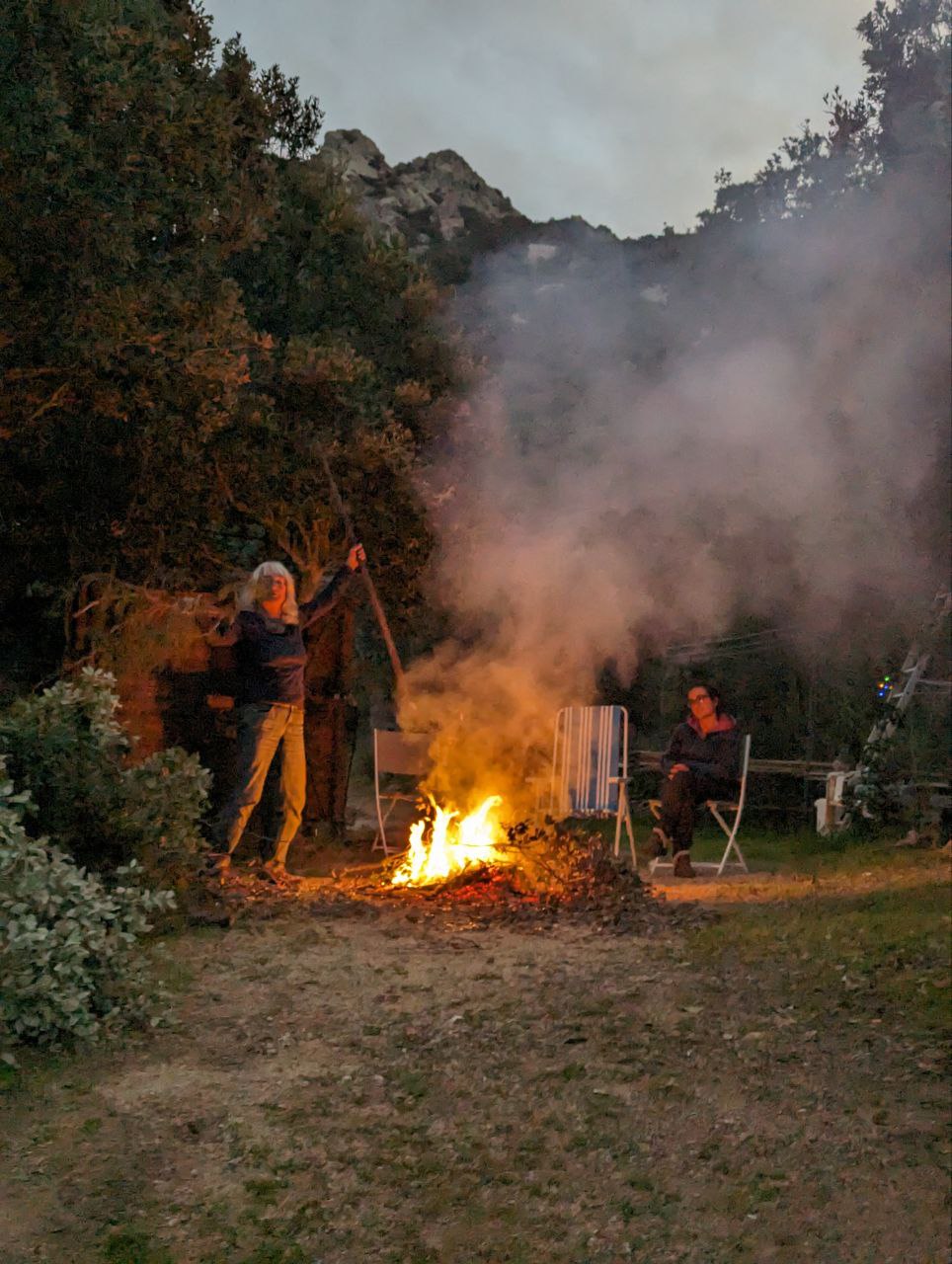 Gute Seele / Hausmeister gesucht 6 moving in nature