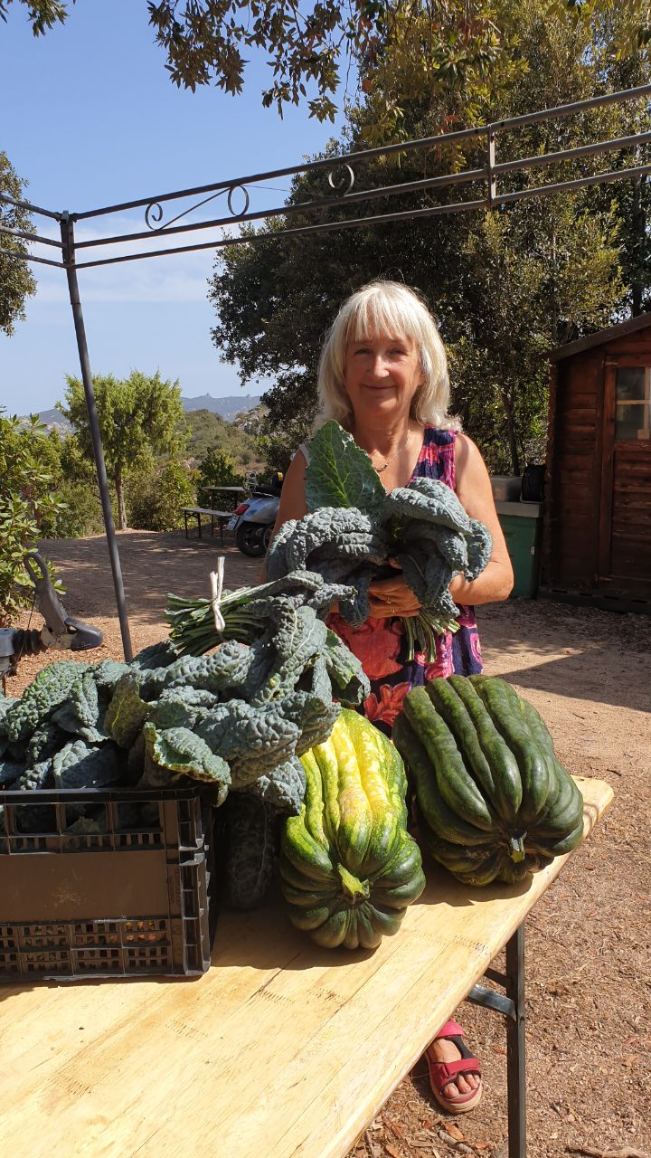 Gute Seele / Hausmeister gesucht 1 Roshan mit unseren Gartenfrüchten