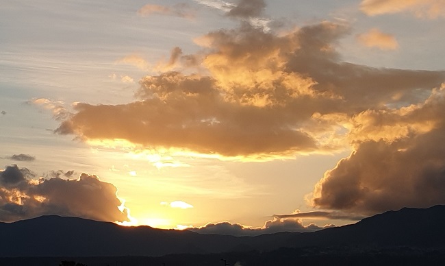 Roshan Priese, founder of Cala Jami